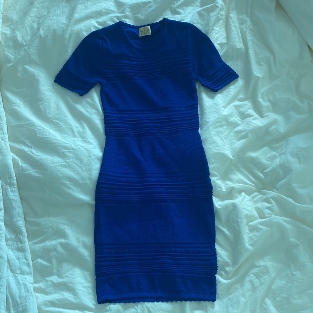 Torn by Ronny kobo nwot blue knit dress xs